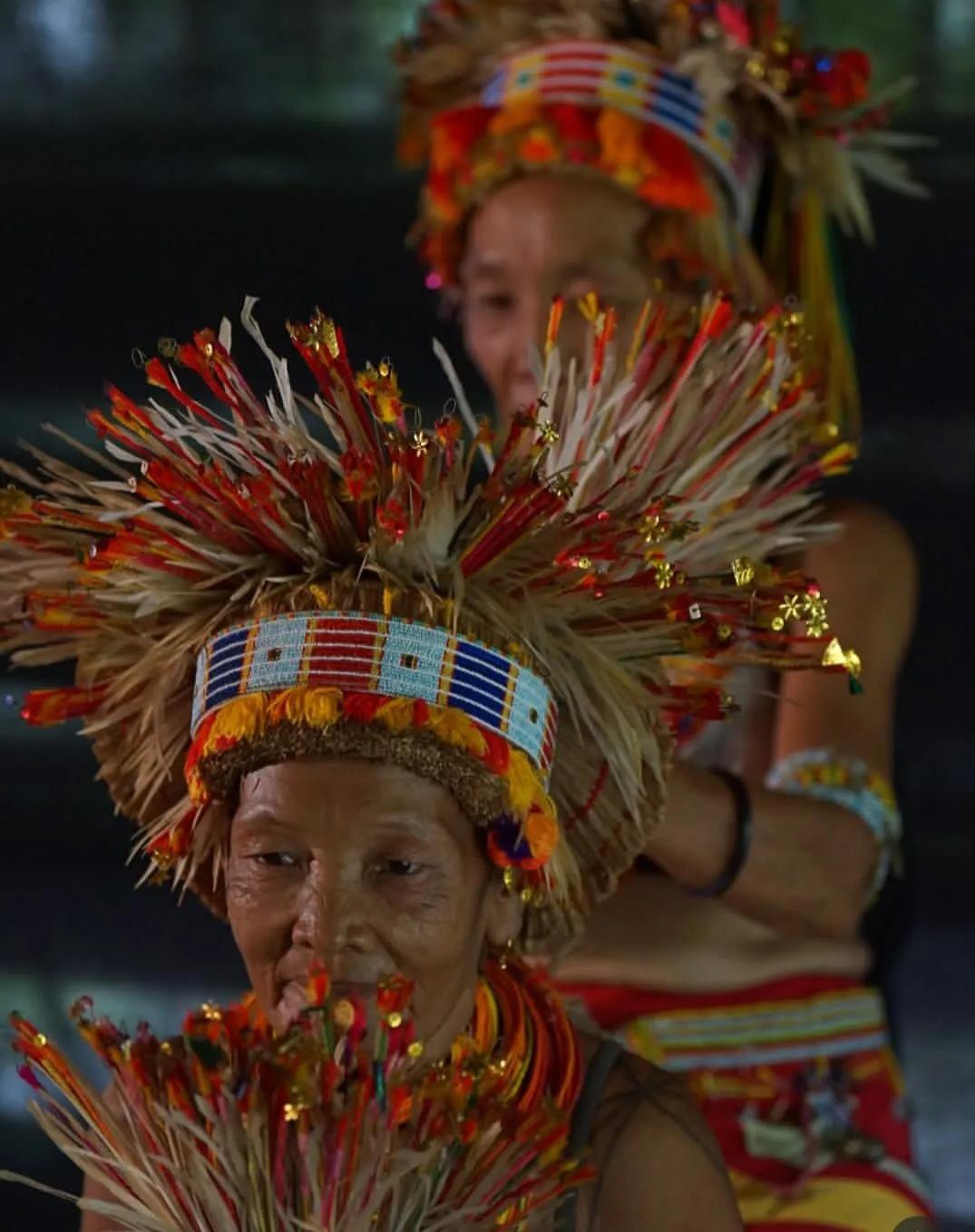 Tour Package 5D / 4N