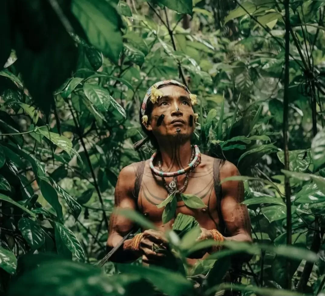 Tour Package 6D / 5N