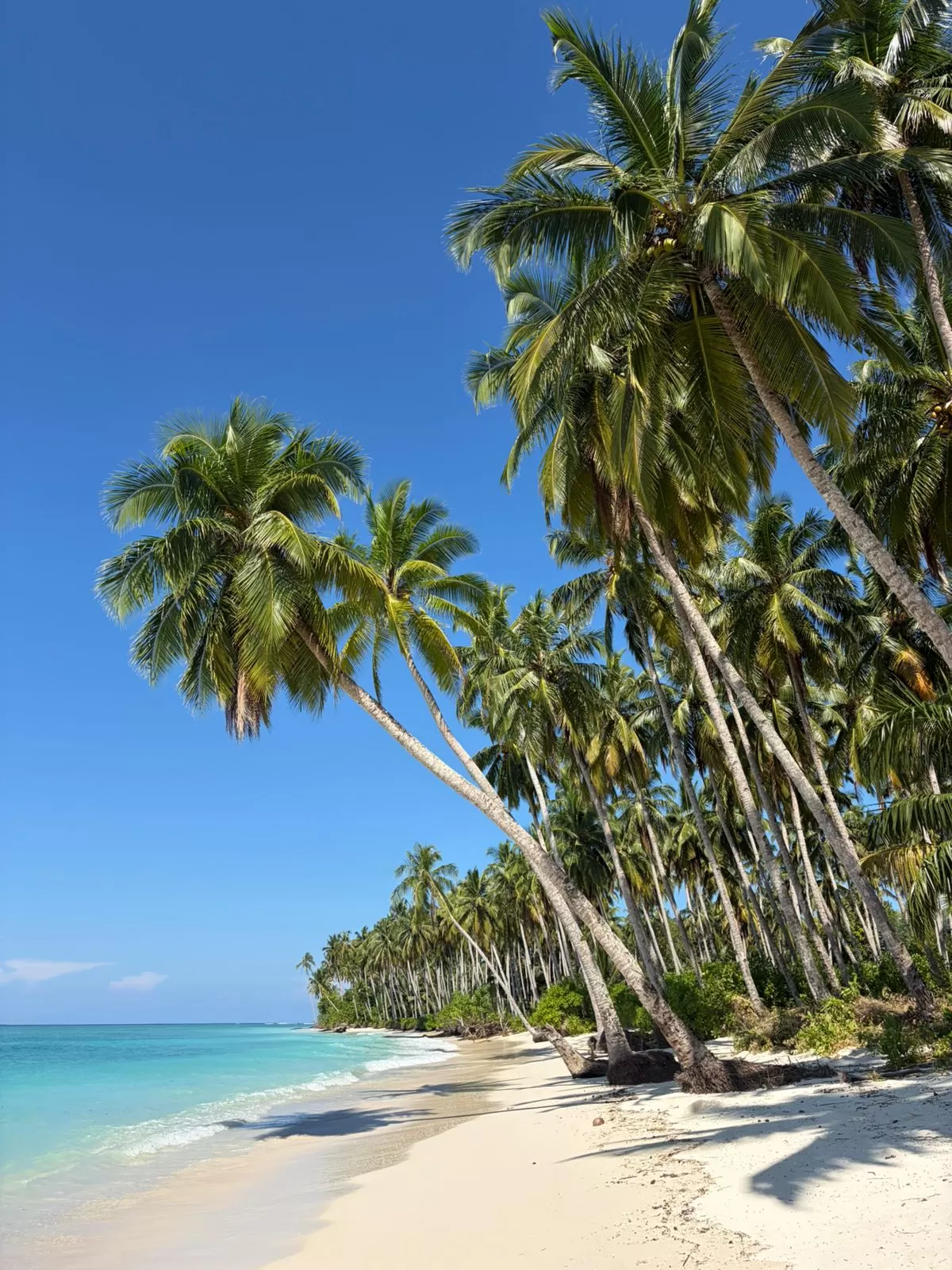 XPLORING MENTAWAI ISLAND
